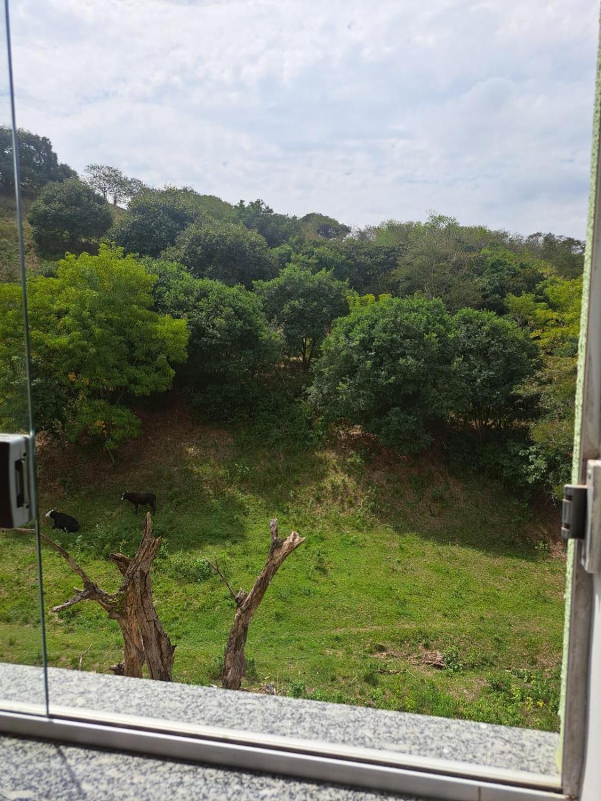 Margaça Califórnia Apartamento